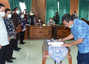 Bupati Tanjab Timur Romi Hariyanto Kukuhkan Tim TPAKD dan TP2DD