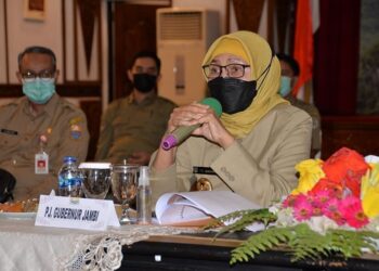 Pj. Gubernur Jambi Siapkan Rencana Strategis Antisipasi Kebakaran Hutan