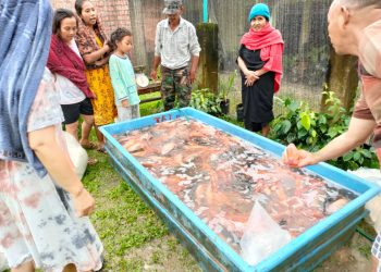 Ringankan Beban Masyarakat, Zulkifli Anggota DPRD Muaro Jambi Jual Murah 1 Ton Ikan Nila