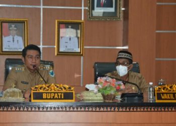 DPA TPP 2020, Pemkab Batanghari Hanya Anggarkan 10 Bulan