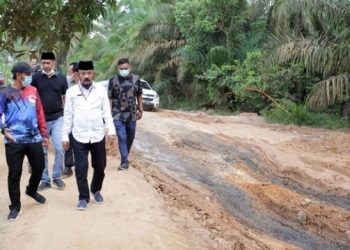 Kadis PUPR Provinsi Jambi Bersama Wabup BBS Tinjau Kerusakan Jalan di Sungai Bahar