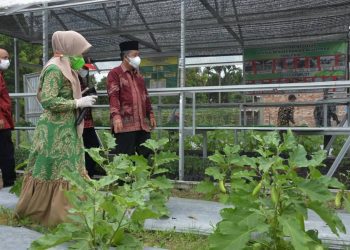 Kunjungi Kawasan Pangan Lestari, Wakil Gubernur Jambi Bagi Sembako