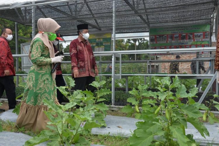 Kunjungi Kawasan Pangan Lestari, Wakil Gubernur Jambi Bagi Sembako