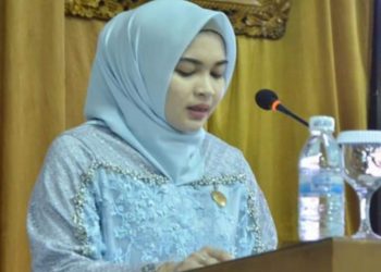 Dewan DPRD Batanghari Soroti Pilkades Serentak Belum Maksimal