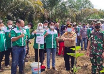 Al Haris Dorong Tanaman Porang Jadi Komoditi Unggulan