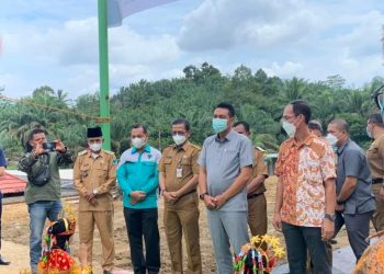 Bupati Fadhil Akui Replanting Kebun Kelapa Sawit di Batanghari Masih Dibawah Target