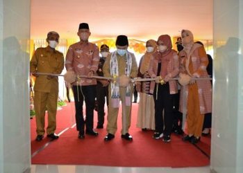 Gubernur Jambi Upayakan Pemerataan Dokter Spesialis