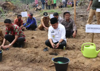 Pemerintah Jambi Beri Bantuan Bibit ke Kelompk Tani