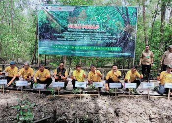 Bupati Anwar Sadat Hadiri Kegiatan Program Penghijauan Hulu Migas di Kawasan Mangrove Pangkal Babu