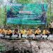 Bupati Anwar Sadat Hadiri Kegiatan Program Penghijauan Hulu Migas di Kawasan Mangrove Pangkal Babu