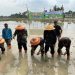 Wagub Sani Tanam Padi Bersama Kelompok Tani Desa Pasar Pelawan