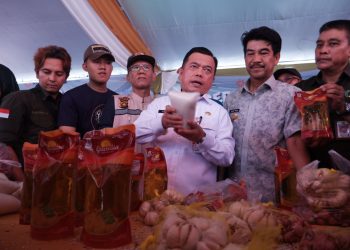 Pj Bupati Raden Najmi Dampingi Gubernur Hadiri Kegiatan Gerakan Pangan Murah di Muaro Jambi