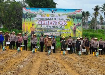 Gubernur Jambi Al Haris Hadiri Penanaman 1 Juta Hektar jagung Serentak Seluruh Indonesia