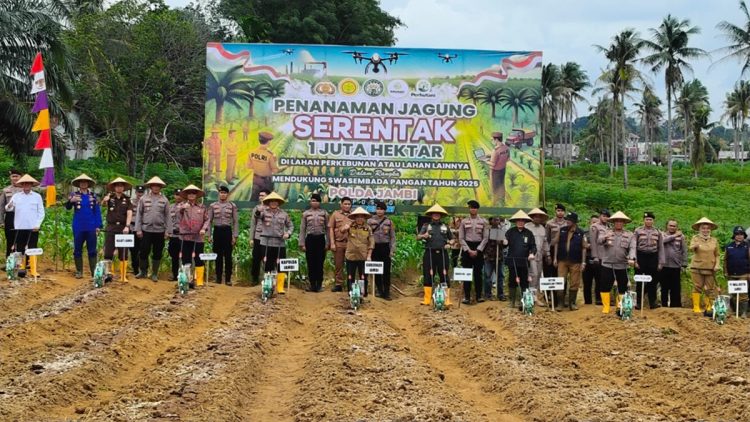 Gubernur Jambi Al Haris Hadiri Penanaman 1 Juta Hektar jagung Serentak Seluruh Indonesia